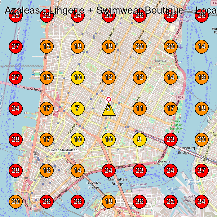 Azaleas - Lingerie + Swimwear Boutique GeoGrid visibility map for Lingerie Store in New York